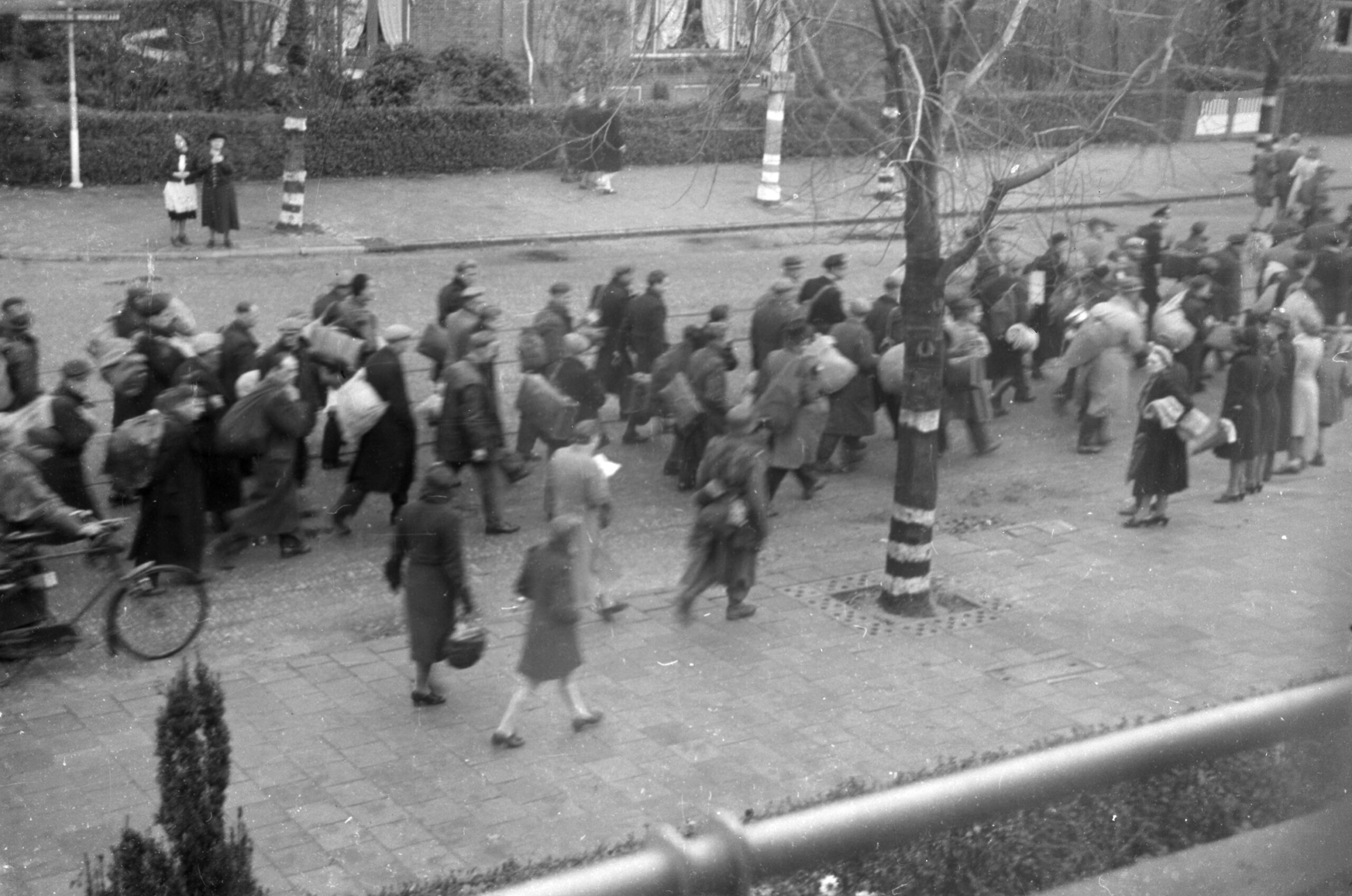 razzia rotterdam 1944